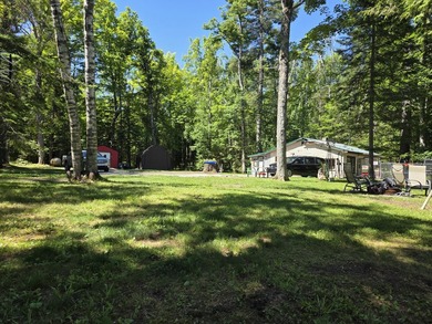 Nine gorgeous acres on the Thunder Bay River!! 200' of frontage! - photo 9