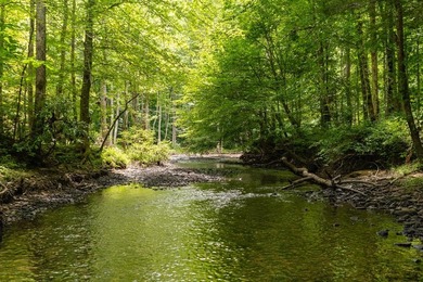 (private lake, pond, creek) Lot For Sale in Crawford Tennessee