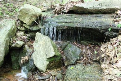 NEW PRICE!! HERE IS YOUR MOUNTAIN GETAWAY!! The mountain is - photo 2