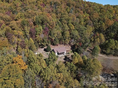 NEW PRICE!! HERE IS YOUR MOUNTAIN GETAWAY!! The mountain is - photo 5