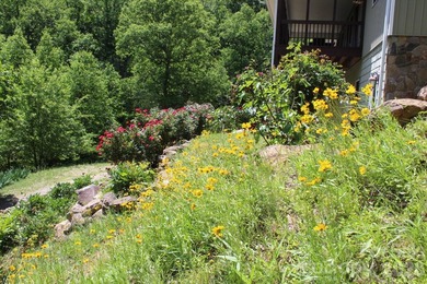 NEW PRICE!! HERE IS YOUR MOUNTAIN GETAWAY!! The mountain is - photo 7