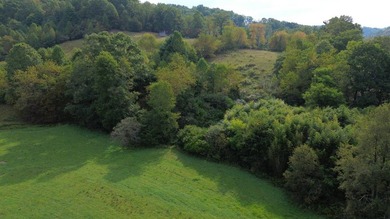 OVERVIEW Big Valley Farm and Forest is a diverse and private 200 - photo 12