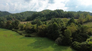 OVERVIEW Big Valley Farm and Forest is a diverse and private 200 - photo 13