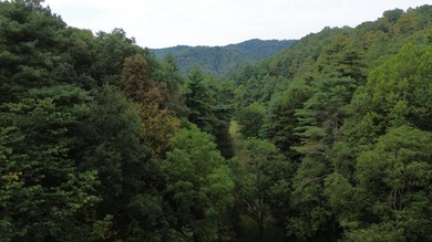 OVERVIEW Big Valley Farm and Forest is a diverse and private 200 - photo 15
