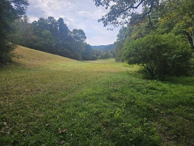 OVERVIEW Big Valley Farm and Forest is a diverse and private 200 - photo 17
