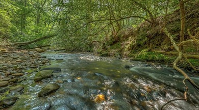 Water's Edge is the ideal blend of serene mountain escape and - photo 21