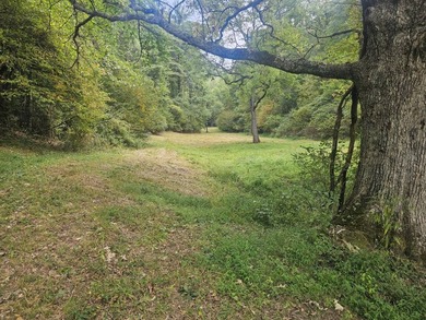 OVERVIEW Big Valley Farm and Forest is a diverse and private 200 - photo 21