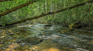 Water's Edge is the ideal blend of serene mountain escape and - photo 22
