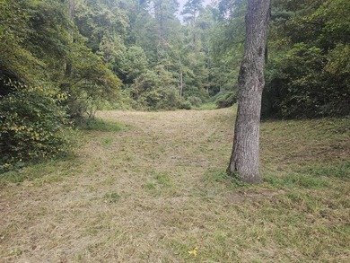 OVERVIEW Big Valley Farm and Forest is a diverse and private 200 - photo 22
