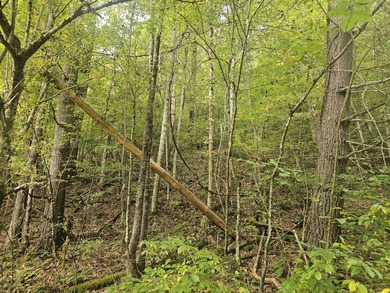 OVERVIEW Big Valley Farm and Forest is a diverse and private 200 - photo 25