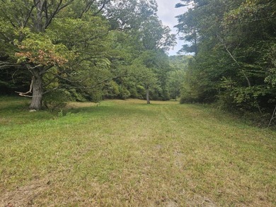 OVERVIEW Big Valley Farm and Forest is a diverse and private 200 - photo 26