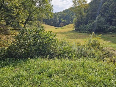 OVERVIEW Big Valley Farm and Forest is a diverse and private 200 - photo 30