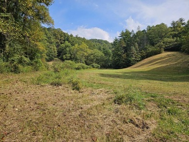 OVERVIEW Big Valley Farm and Forest is a diverse and private 200 - photo 31