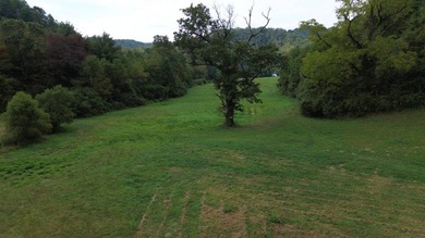 OVERVIEW Big Valley Farm and Forest is a diverse and private 200 - photo 32