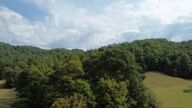 OVERVIEW Big Valley Farm and Forest is a diverse and private 200 - photo 33