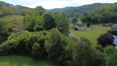OVERVIEW Big Valley Farm and Forest is a diverse and private 200 - photo 34