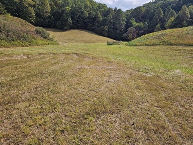 OVERVIEW Big Valley Farm and Forest is a diverse and private 200 - photo 35
