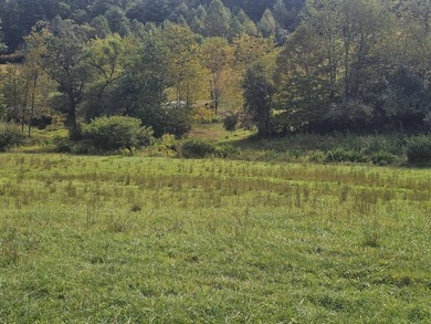 OVERVIEW Big Valley Farm and Forest is a diverse and private 200 - photo 38