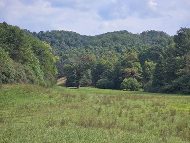 OVERVIEW Big Valley Farm and Forest is a diverse and private 200 - photo 39