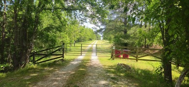 Lake Acreage For Sale in Lincolnton, Georgia