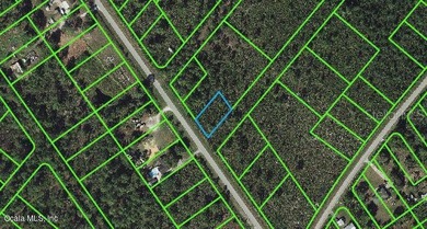 Lake Istokpoga Lot For Sale in Lake Placid Florida