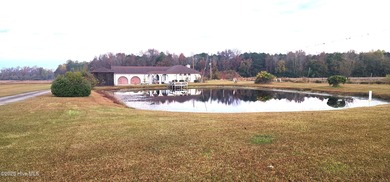 (private lake, pond, coastal) Home For Sale in Pink Hill North Carolina