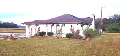 COUNTRY LIVING...Pink Hill NC is where You'll Find 1553 N. NC 41 - photo 4
