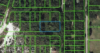 Lake Istokpoga Lot For Sale in Lake Placid Florida