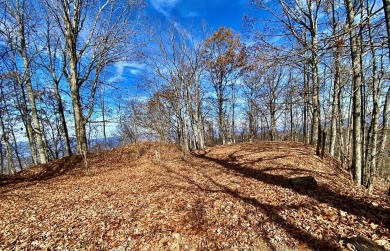 Lake Lot For Sale in Bryson City, North Carolina