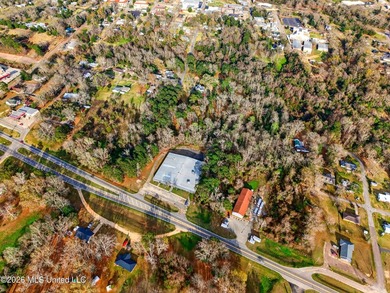 Prime Commercial or Residential Opportunity in Poplarville! This - photo 4