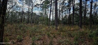 Prime Commercial or Residential Opportunity in Poplarville! This - photo 6