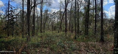 Prime Commercial or Residential Opportunity in Poplarville! This - photo 7