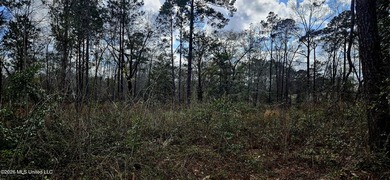 Prime Commercial or Residential Opportunity in Poplarville! This - photo 8