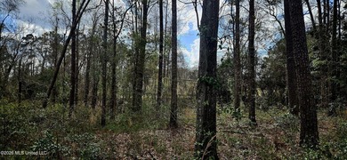 Prime Commercial or Residential Opportunity in Poplarville! This - photo 10