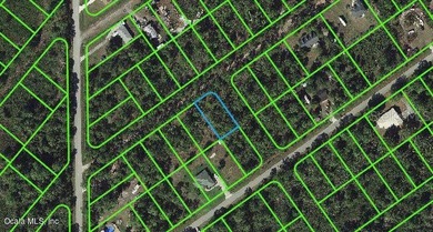 Lake Istokpoga Lot For Sale in Lake Placid Florida