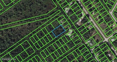 Lake Istokpoga Lot For Sale in Lake Placid Florida