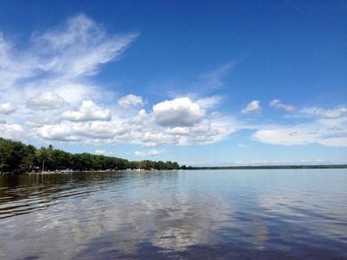 Experience the pinnacle of motorized lakeside living on - photo 5