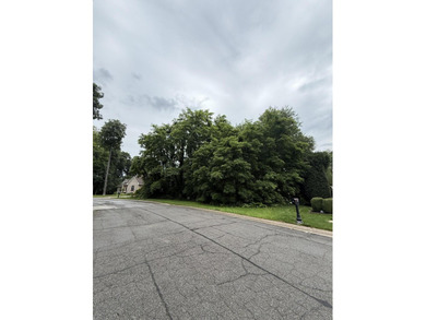 Build your dream home on this beautiful 0.49-acre homesite in - photo 2