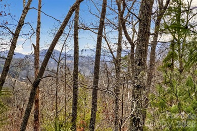 French Broad River - Madison County Acreage For Sale in Marshall North Carolina