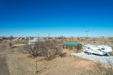 Lake Lot For Sale in Fritch, Texas
