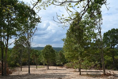 (private lake, pond, coastal) Acreage For Sale in Ava Missouri