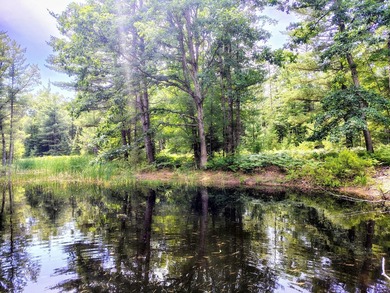Discover the perfect setting for your dream home on this - photo 4