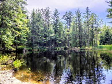 Discover the perfect setting for your dream home on this - photo 5