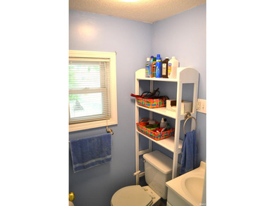 Immaculately maintained and truly move-in ready, this charming - photo 26