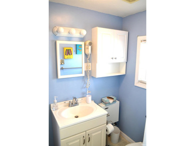 Immaculately maintained and truly move-in ready, this charming - photo 27