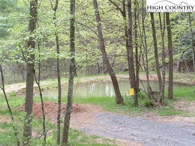 (private lake, pond, coastal) Acreage For Sale in Boone North Carolina