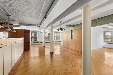 393 West Broadway 4WB - photo 3