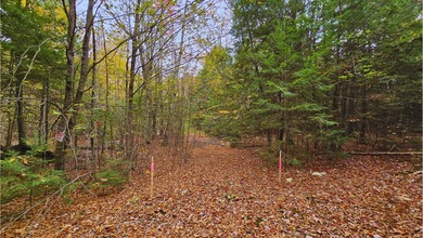Lake Acreage For Sale in Newport, Maine