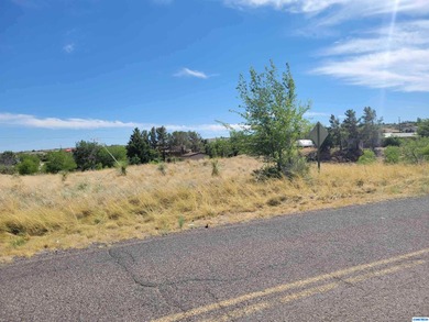 Build your dream Home ! Only 5 min from town, Close to the Golf - photo 2