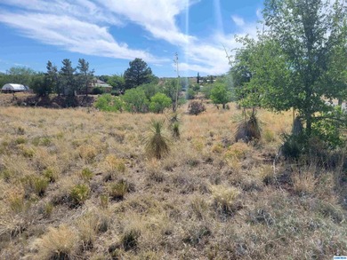 Build your dream Home ! Only 5 min from town, Close to the Golf - photo 3